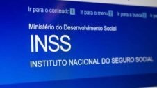 Conheça os tipos de consulta do INSS que podem ser feitos pela internet