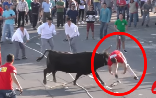 marradas 2016
